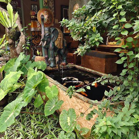 Vin Vin Vandrerhjem Ubud Eksteriør bilde