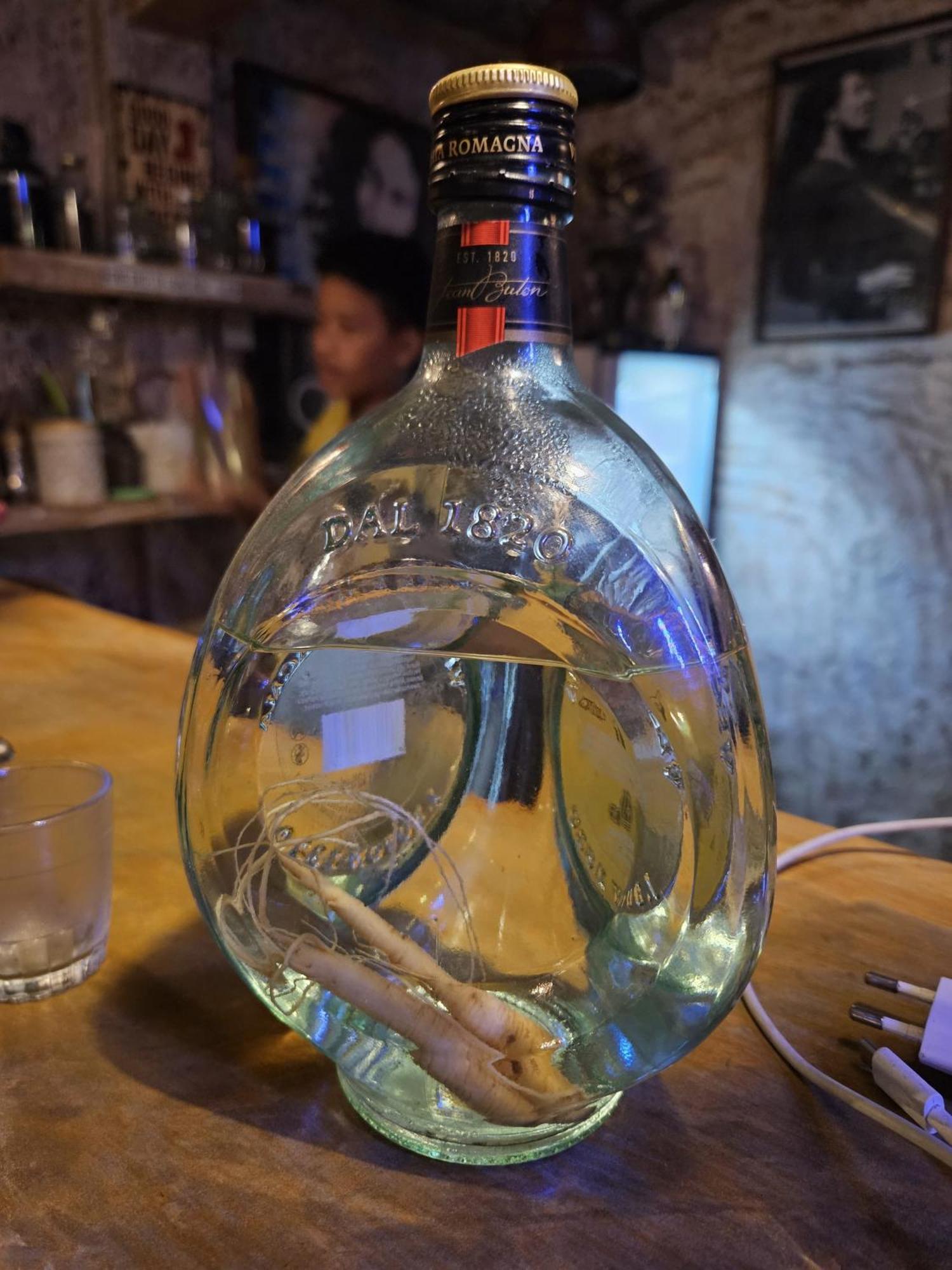 Vin Vin Vandrerhjem Ubud Eksteriør bilde
